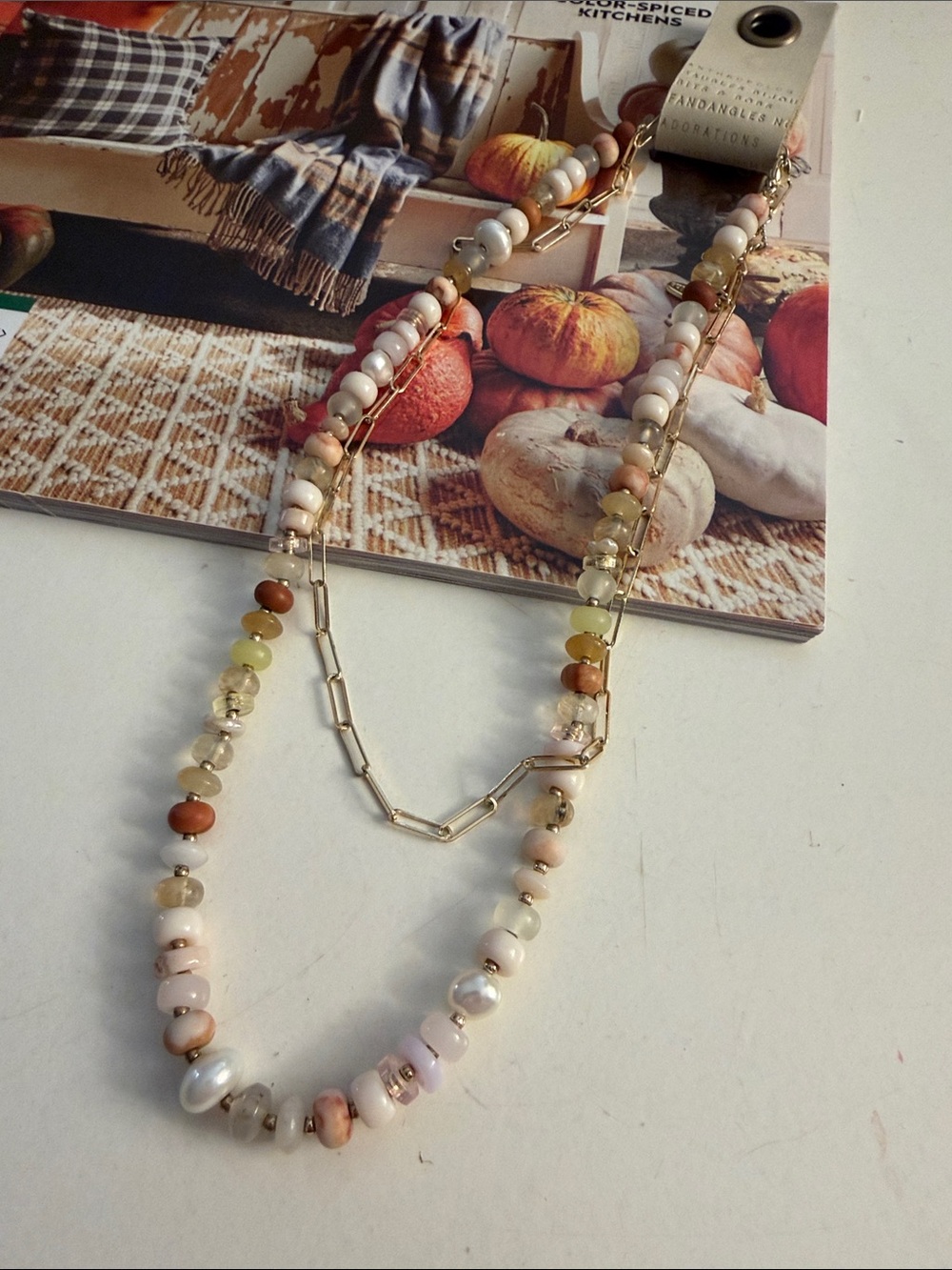 Anthropologie serefina Eades necklace and chain set